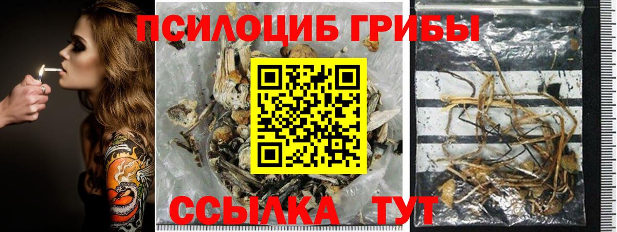 Галлюциногенные грибы GOLDEN TEACHER  Вход с VPN  Усть-Илимск  Псилоцибиновые грибы мухоморы 