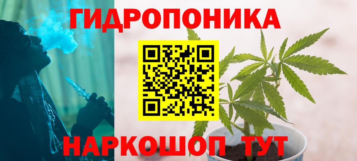Бошки Шишки планчик Усть-Илимск